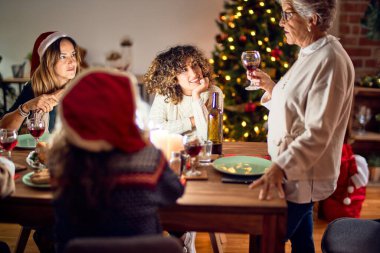 Mutlu ve kendinden emin gülümseyen güzel bir kadın grubu. Her birinin elinde şarap bardağıyla evde Noel 'i kutlayan konuşmaları var.