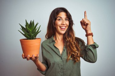 Kaktüs tenceresini beyaz izole arka planda tutan genç ve güzel bir kadın bir fikir ya da soru işareti ile şaşırdı.