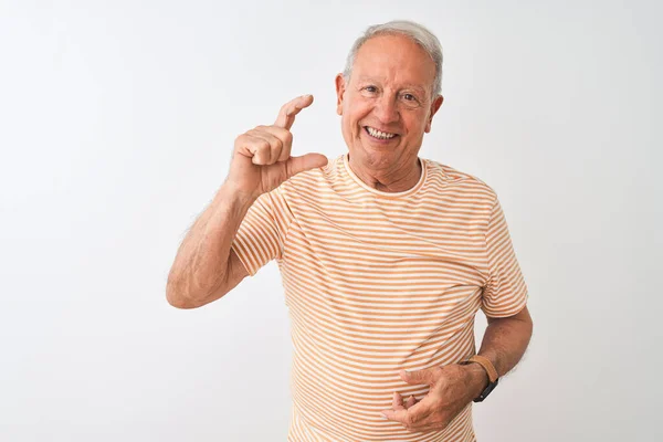 Homem Cabelos Grisalhos Sênior Vestindo Camiseta Listrada Sobre Fundo Branco — Fotografia de Stock