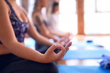 Genç ve güzel bir grup sporcu kadın yoga yapıyor. Yerde oturup nilüfer çiçeği pozu vermek.