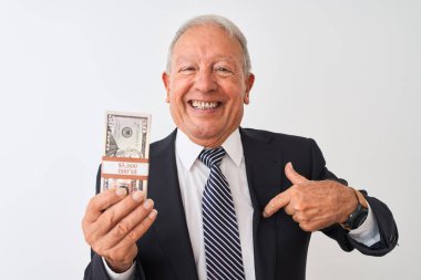 Kıdemli gri saçlı işadamı, izole edilmiş beyaz arka planda dolar tutan takım elbiseli ve kendini gösteren sürpriz yüzlü.