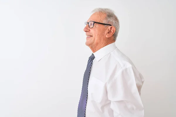 Senior Grijs Harige Zakenman Dragen Stropdas Bril Geïsoleerde Witte Achtergrond — Stockfoto