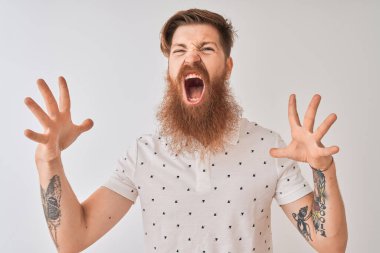 Polo giyen genç kızıl saçlı adam izole edilmiş beyaz arka planda çılgın ve kızgın bir şekilde duruyor. Saldırgan bir ifadeyle bağırıyor ve kollarını kaldırıyor. Hayal kırıklığı konsepti.