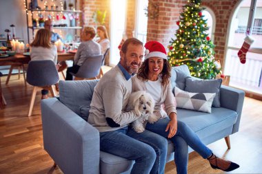 Aile ve arkadaşlar Noel arifesini evde geleneksel yemek ve dekorasyonla kutluyorlar. Çiftler kanepede köpeklerle sohbet ediyorlar.