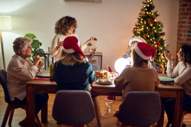 Mutlu ve kendinden emin gülümseyen güzel bir kadın grubu. Her birinin elinde şarap bardağıyla evde Noel 'i kutlayan konuşmaları var.
