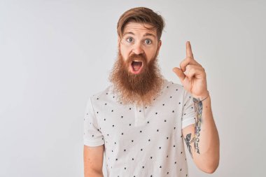 Genç kızıl saçlı, polo giyen, izole edilmiş beyaz arka planda duran ve başarılı bir fikri işaret eden İrlandalı bir adam. Heyecanlı ve mutlu. Bir numara..