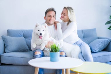 Karton kutular etrafında yeni evde kanepede oturan köpek ile genç güzel çift