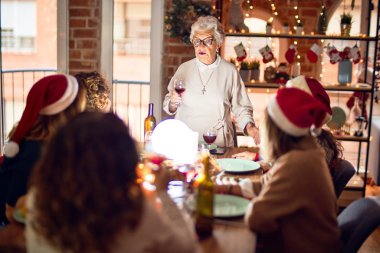 Mutlu ve kendinden emin gülümseyen güzel bir kadın grubu. Her birinin elinde şarap bardağıyla evde Noel 'i kutlayan konuşmaları var.