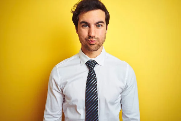 Junger Gutaussehender Geschäftsmann Elegantem Hemd Und Krawatte Über Isoliertem Gelbem — Stockfoto