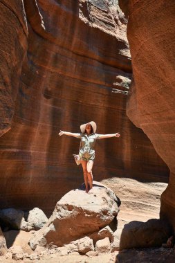 Genç Beauitufl yürüyüşçüsü kadın yaz tatilini kutlayan kollarıyla turuncu dağda yürüyor.