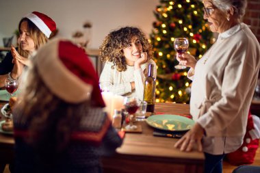Mutlu ve kendinden emin gülümseyen güzel bir kadın grubu. Her birinin elinde şarap bardağıyla evde Noel 'i kutlayan konuşmaları var.