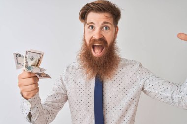 Genç Kızıl İrlandalı işadamı tutan dolar izole beyaz arka plan üzerinde ayakta çok mutlu ve heyecanlı, kazanan ifade zafer büyük gülümseme ile çığlık kutluyor ve eller kaldırdı