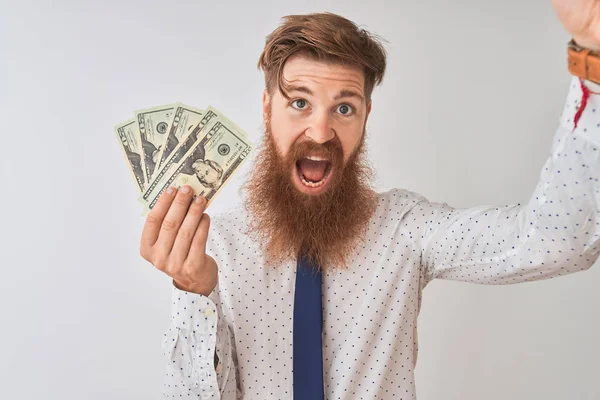 Genç Kızıl saçlı İrlandalı işadamı tutan dolar izole beyaz arka plan üzerinde ayakta rahatsız ve öfke ile bağırarak sinirli, deli ve kaldırdı el ile bağırarak, öfke kavramı