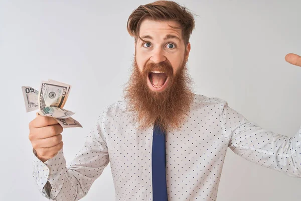 Jovem Empresário Irlandês Ruivo Segurando Dólares Sobre Fundo Branco Isolado — Fotografia de Stock