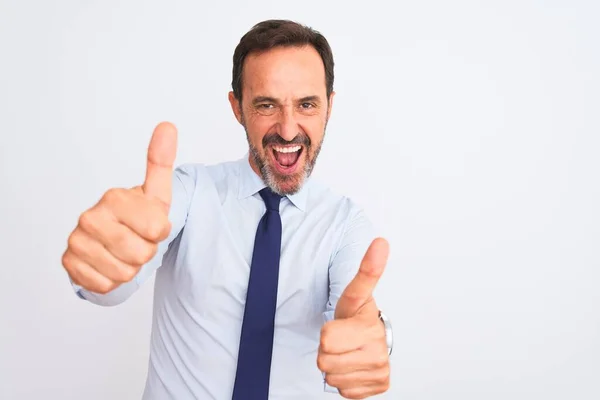 위에우아 넥타이를 사업가가 손으로 긍정적 행동을 승인하고 웃으며 성공하는 행복해 — 스톡 사진