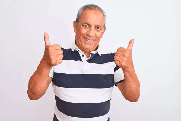 Homme Âgé Aux Cheveux Gris Portant Polo Rayé Décontracté Debout — Photo