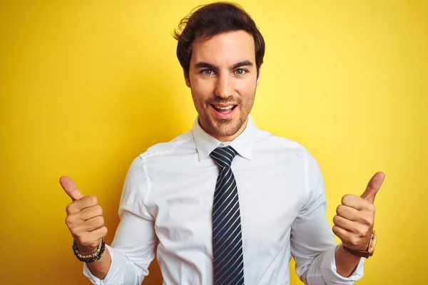 Jovem Empresário Bonito Vestindo Camisa Elegante Gravata Sobre Isolado Sinal — Fotografia de Stock