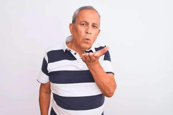 Senior Grey Haired Man Wearing Casual Striped Polo Standing Isolated — ストック写真