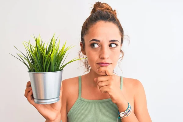 Junge Rothaarige Frau Hält Pflanzentopf Über Isoliertem Hintergrund Ernstes Gesicht — Stockfoto