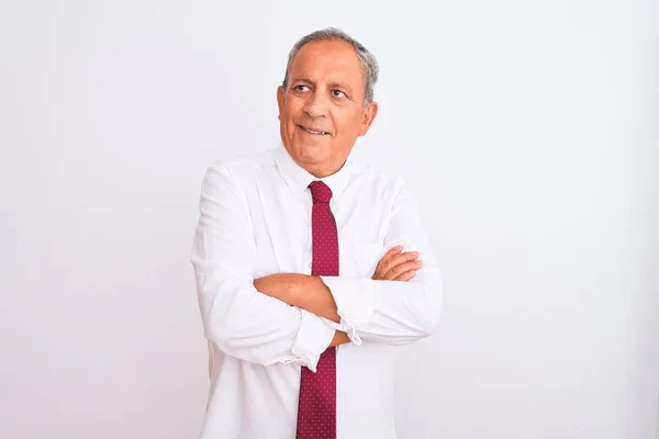 Senior Hombre Negocios Pelo Gris Con Elegante Corbata Sobre Fondo — Foto de Stock