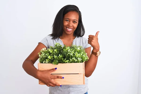 Young African American Woman Holding Wooden Pot Plants Isolated Background — Stock Photo, Image