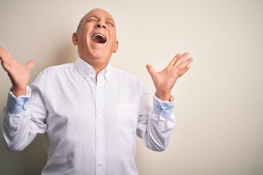 Üst düzey yakışıklı işadamı zarif gömleğini giyerek izole edilmiş pembe arka planda dikiliyor ve kollarını kaldırıp heyecanla haykırarak başarının çılgınlığını kutluyor. Kazanan konsept