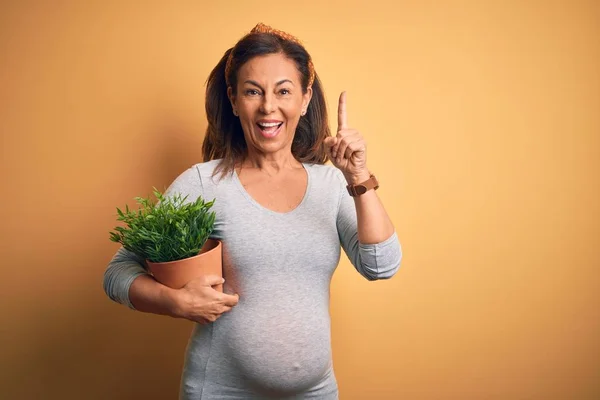 Middle Age Pregnant Woman Expecting Baby Holding Plant Pot Surprised — ストック写真