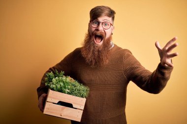 Redhead Irish man with beard holding wooden box with fresh plants over yellow background very happy and excited, winner expression celebrating victory screaming with big smile and raised hands