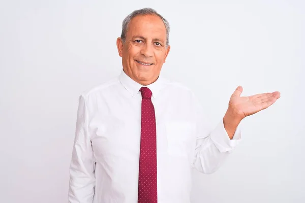 Senior Grey Haired Businessman Wearing Elegant Tie Isolated White Background — Stock Photo, Image