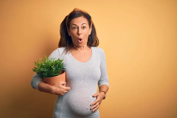 Donna Incinta Mezza Età Aspetta Che Bambino Tenga Vaso Piante — Foto Stock