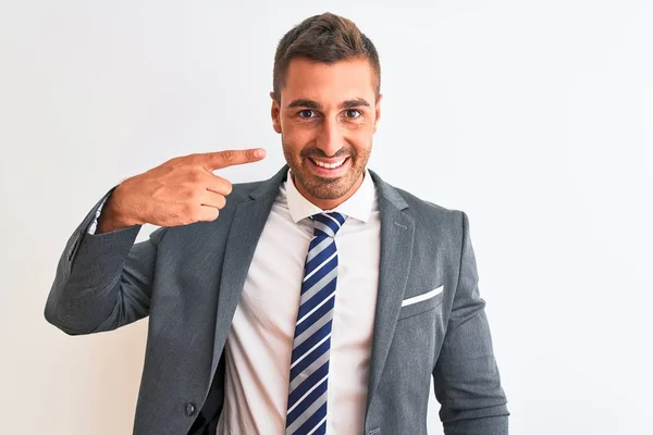 Young Handsome Business Man Wearing Suit Tie Isolated Background Pointing — 스톡 사진