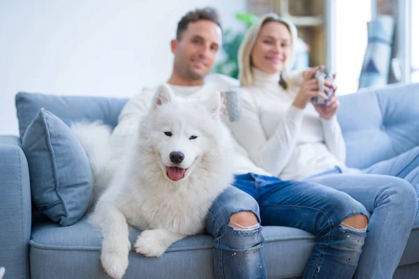 Jovem Casal Bonito Com Cão Sentado Sofá Bebendo Café Nova — Fotografia de Stock