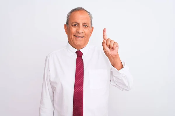 Senior Hombre Negocios Pelo Gris Con Elegante Corbata Sobre Fondo — Foto de Stock