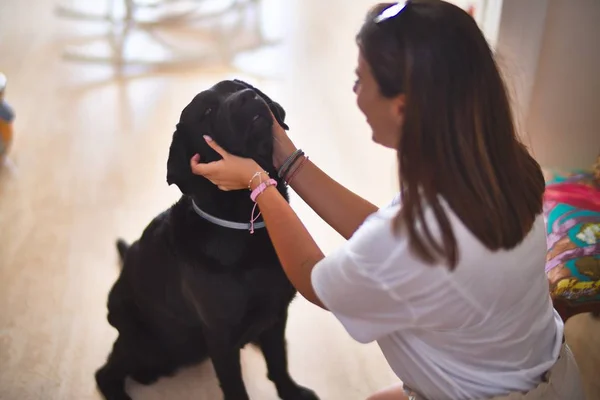 Nuori Kaunis Nainen Kotona Leikkii Musta Labrador Koira — kuvapankkivalokuva