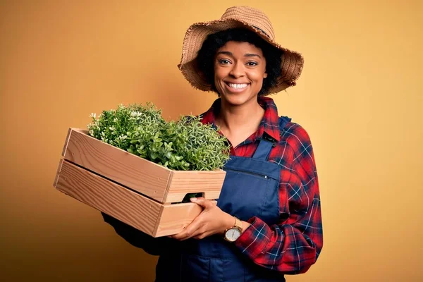 Young African American Farmer Woman Curly Hair Wearing Apron Holding — Stock Photo, Image