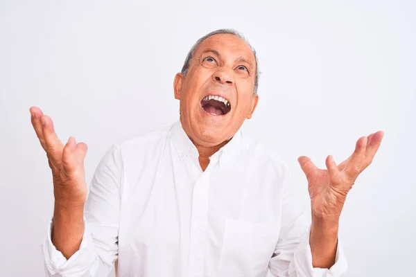 Senior Grey Haired Man Bär Elegant Skjorta Stående Över Isolerad — Stockfoto