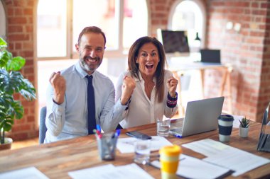 Orta yaşlı, güzel iş adamları ofiste dizüstü bilgisayarlarını kullanarak kollarını kaldırarak ve açık gözlerle başarıyı kutluyorlar. Kazanan konsept.