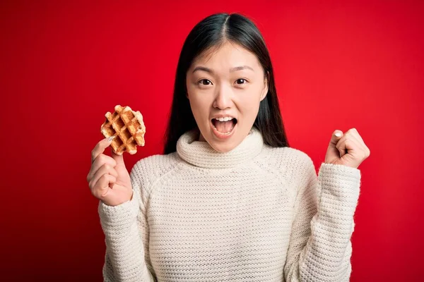 年轻的亚洲女人吃甜甜的 美味的比利时华夫饼 在红色孤立的背景下自豪地尖叫着 庆祝胜利和成功 非常兴奋 欢呼着感情 — 图库照片