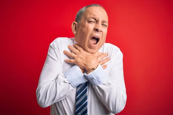 Uomo Affari Anziano Bello Indossa Elegante Cravatta Piedi Sopra Isolato — Foto Stock