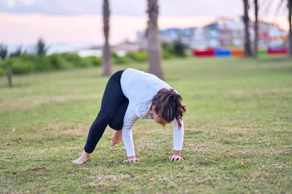 Jonge Mooie Sportvrouw Die Yoga Beoefent Coach Doceert Kraaienhouding Het — Stockfoto