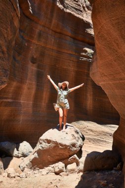 Genç Beauitufl yürüyüşçüsü kadın yaz tatilini kutlayan kollarıyla turuncu dağda yürüyor.