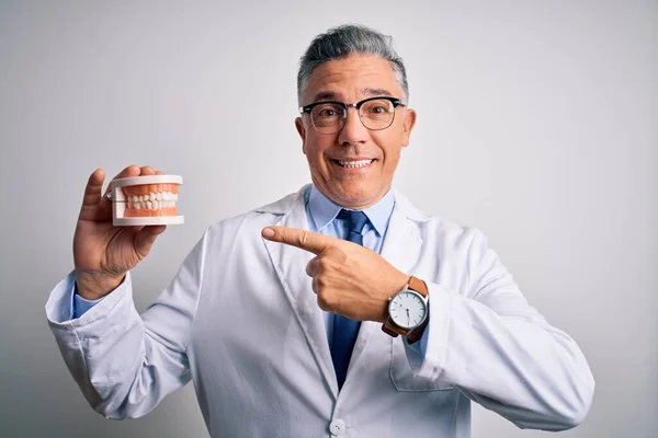 Média Idade Bonito Homem Dentista Cabelos Grisalhos Segurando Dentes Plástico — Fotografia de Stock