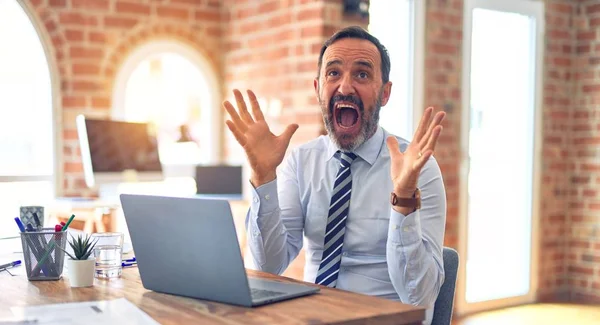 Középkorú Jóképű Üzletember Nyakkendőt Visel Laptoppal Irodában Ünnepli Őrült Csodálkozik — Stock Fotó