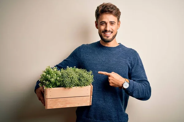 Young gardener man with beard holding box with plants standing over white background very happy pointing with hand and finger