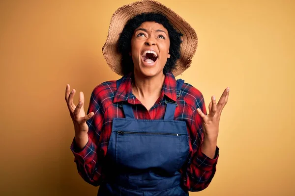 若いアフリカ系アメリカ人のアフロ農家の女性は 巻き毛のエプロンを身に着けていると帽子狂気と怒りの叫びと積極的な表現と腕を上げて叫んでいる 欲求不満の概念 — ストック写真