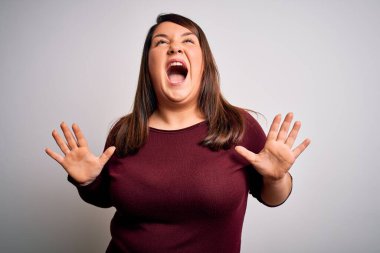 Güzel esmer ve cüsseli bir kadın izole edilmiş beyaz arka plan üzerine gündelik kazak giyiyor çılgın ve sinirli bir şekilde bağırıyor ve agresif bir ifade ve kollarla bağırıyor. Hayal kırıklığı konsepti.