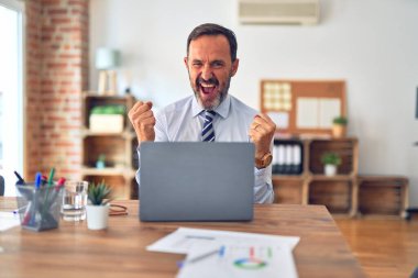 Orta yaşlı yakışıklı iş adamı ofiste dizüstü bilgisayarını kullanarak oturmuş kollarını kaldırarak ve açık gözlerle başarıyı kutluyor ve şaşırıyor. Kazanan konsept.