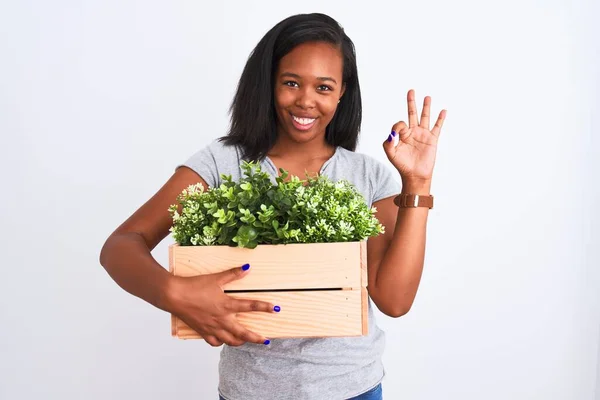 若いアフリカ系アメリカ人の女性は 指でOkのサインを行う孤立した背景に植物と木製の鍋を保持 優れたシンボル — ストック写真