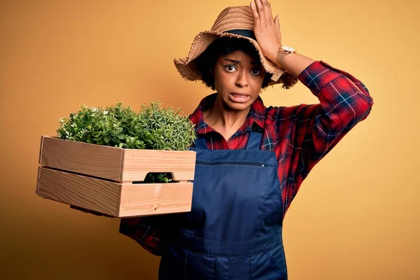 Mujer Joven Agricultora Afroamericana Con Pelo Rizado Usando Delantal Con —  Fotos de Stock