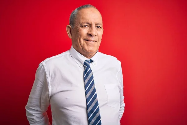 Empresário Bonito Sênior Vestindo Gravata Elegante Sobre Fundo Vermelho Isolado — Fotografia de Stock